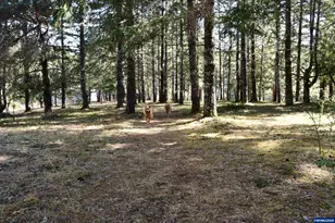 27494 S Boundary Rd, Corvallis, OR 97330 - Photo 39