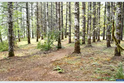 27494 S Boundary Rd, Corvallis, OR 97330 - Photo 37