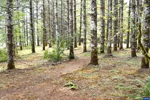 27494 S Boundary Rd, Corvallis, OR 97330 - Photo 37