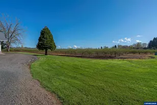 38565 Robinson Dr, Scio, OR 97374 - Photo 47