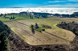 42172 Rodgers Mountain Lp, Scio, OR 97374 - Photo 3