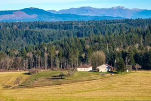 42172 Rodgers Mountain Lp, Scio, OR 97374 - Photo 45