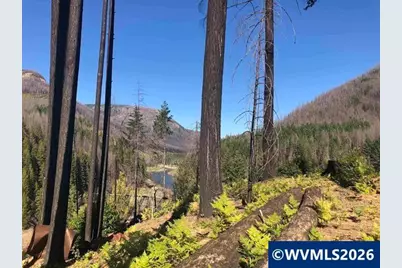 105 1st St W, Detroit, OR 97342 - Photo 5