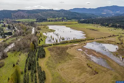 Ta 330103 Gold Creek Rd, Willamina, OR 97396 - Photo 11