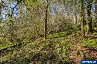3697 Croisan Creek Rd S, Salem, OR 97302 - Photo 13