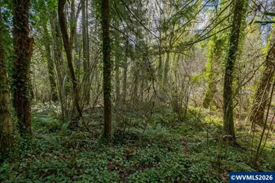 3697 Croisan Creek Rd S, Salem, OR 97302 - Photo 17