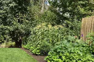 33125 SE White Oak #16 Rd, Corvallis, OR 97333 - Photo 29