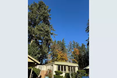 33125 SE White Oak #16 Rd, Corvallis, OR 97333 - Photo 3