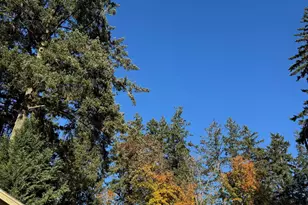 33125 SE White Oak #16 Rd, Corvallis, OR 97333 - Photo 3