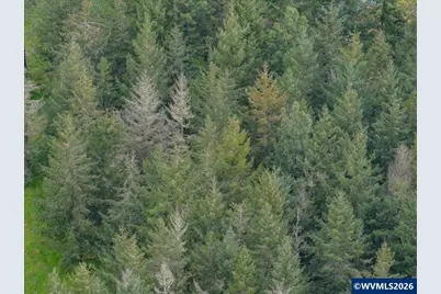 38381 Crawfordsville Dr, Sweet Home, OR 97386 - Photo 25