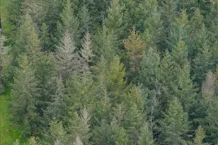 38381 Crawfordsville Dr, Sweet Home, OR 97386 - Photo 25