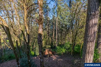 Next To 725 Shannon Dr NW, Albany, OR 97321 - Photo 5