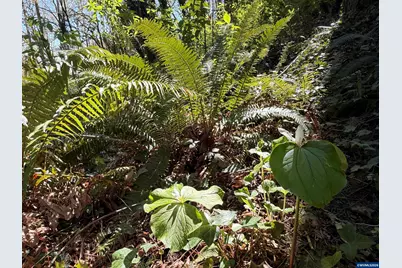 Next To 725 Shannon Dr NW, Albany, OR 97321 - Photo 17