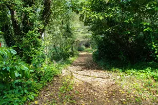 18591 Alsea Hwy, Alsea, OR 97324 - Photo 41