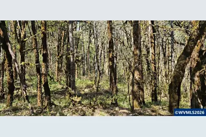 Lot 7 Iris Cir, Philomath, OR 97370 - Photo 3