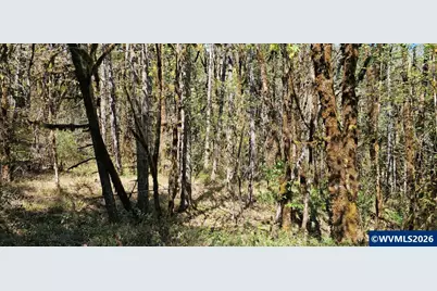 Lot 7 Iris Cir, Philomath, OR 97370 - Photo 1