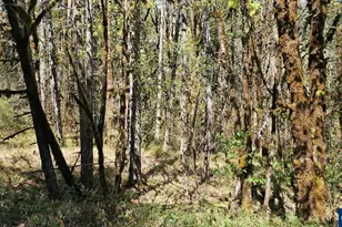 Lot 7 Iris Circle, Philomath, OR 97370 - Photo 1