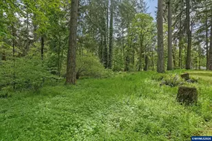 8732 Wildlife Ln SE, Salem, OR 97317 - Photo 41