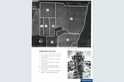 25357 High Pass Rd, Junction City, OR 97448 - Photo 43