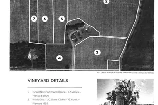25357 High Pass Rd, Junction City, OR 97448 - Photo 43
