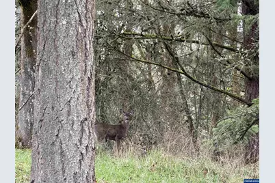 10693 Southview Lp SE, Jefferson, OR 97352 - Photo 35