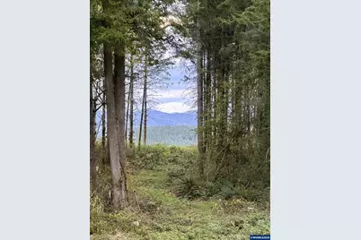 62710 Wagon Wheel Dr, Saint Helens, OR 97051 - Photo 47