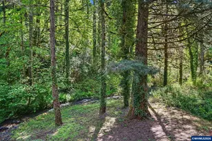 4660 Croisan Creek Rd S, Salem, OR 97302 - Photo 47