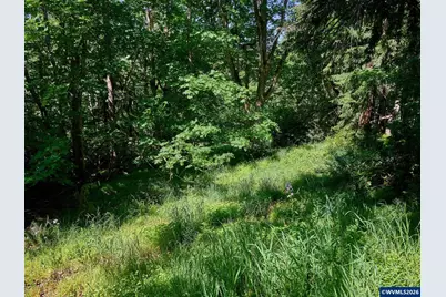 238 Rock St, Silverton, OR 97381 - Photo 45
