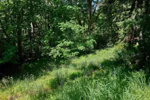 238 Rock St, Silverton, OR 97381 - Photo 45