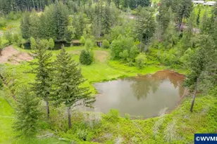 51725 Gates Bridge E, Gates, OR 97346 - Photo 15