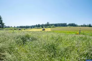 25641 S Schockley Rd, Beavercreek, OR 97004 - Photo 45