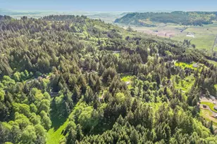 43288 Rodgers Mountain Lp, Scio, OR 97374 - Photo 33