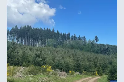 Lot 13 SW Rock Creek Rd, Sheridan, OR 97378 - Photo 1