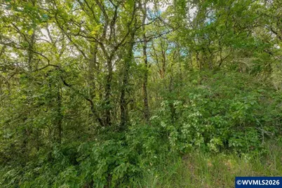 0 NW Kouns Dr, Albany, OR 97321 - Photo 13
