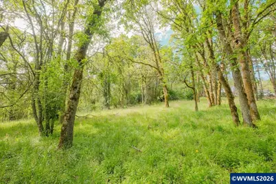 0 NW Kouns Dr, Albany, OR 97321 - Photo 17