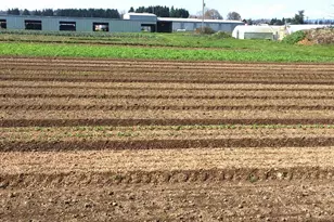 8962 S Heinz Rd, Canby, OR 97013 - Photo 35