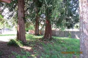 365 SE Myrtle St, Mill City, OR 97360 - Photo 17
