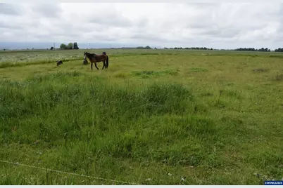 25258 Rowland Rd, Harrisburg, OR 97446 - Photo 15