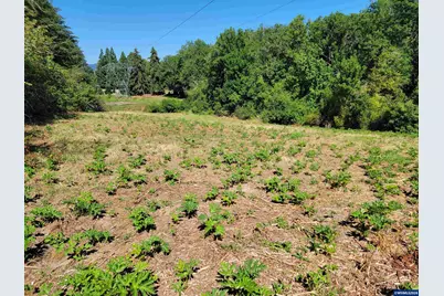 0 Oak Grove (Vacant Lot Adj) Dr NW, Albany, OR 97321 - Photo 23