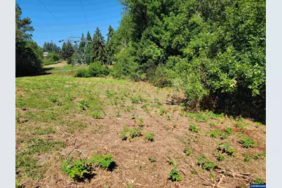 0 Oak Grove (Vacant Lot Adj) Dr NW, Albany, OR 97321 - Photo 19