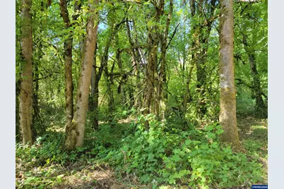 0 Oak Grove (Vacant Lot Adj) Dr NW, Albany, OR 97321 - Photo 29