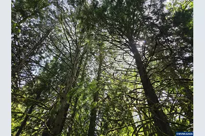 Lot 500 Lewis Cemetery Rd, Silverton, OR 97381 - Photo 7