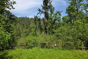 Lot 500 Lewis Cemetery Rd, Silverton, OR 97381 - Photo 1