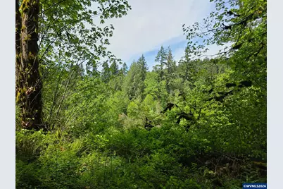Lot 500 Lewis Cemetery Rd, Silverton, OR 97381 - Photo 3
