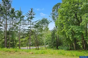 22475 SE Royal Anne Dr, Amity, OR 97101 - Photo 39