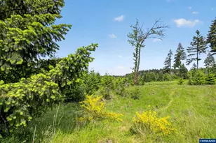 5714 Crooked Finger Rd NE, Scotts Mills, OR 97375 - Photo 45