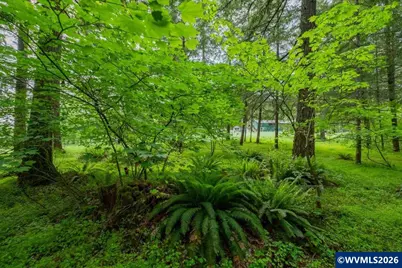Ta 0057485 Next To 40587 Rd, Lebanon, OR 97355 - Photo 5