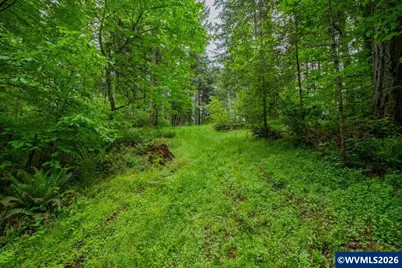 Ta 0057485 Next To 40587 Rd, Lebanon, OR 97355 - Photo 15