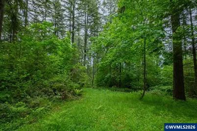 Ta 0057485 Next To 40587 Rd, Lebanon, OR 97355 - Photo 13