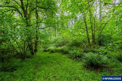 Ta 0057485 Next To 40587 Rd, Lebanon, OR 97355 - Photo 19